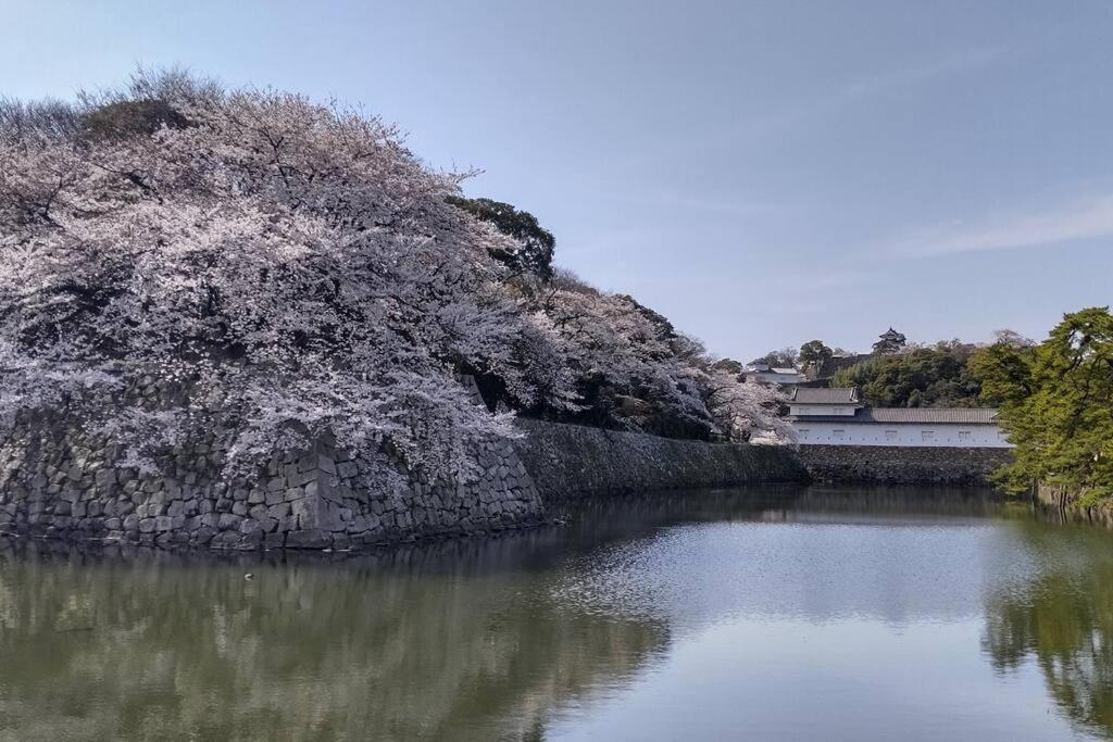 Villa Hikone Castle المظهر الخارجي الصورة